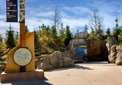 Minnesota Zoo Russia's Grizzly Coast Exhibit