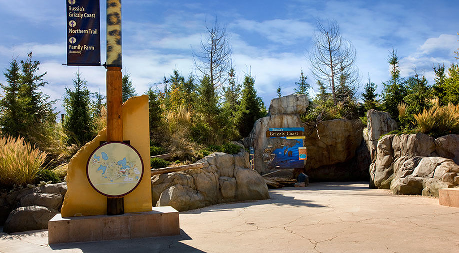 Minnesota Zoo Russia's Grizzly Coast Exhibit