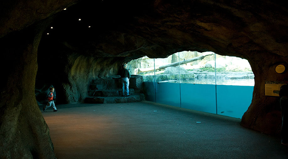 Minnesota Zoo Russia's Grizzly Coast Exhibit